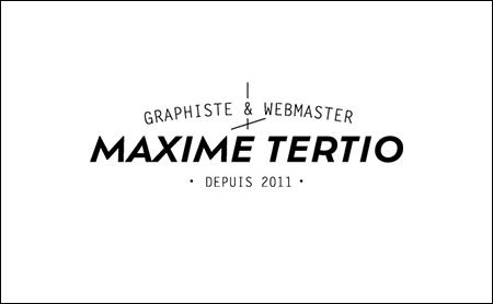 Maxime Tertio création de site internet en Vendée - Agence web La Roche sur Yon